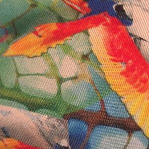 Meet your Posher, Kasey